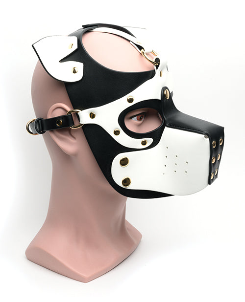 665 Bondage Pup Hood - Multiple Colors Available