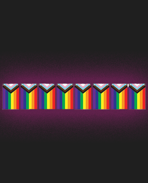 Pride Flag Pennant Streamer