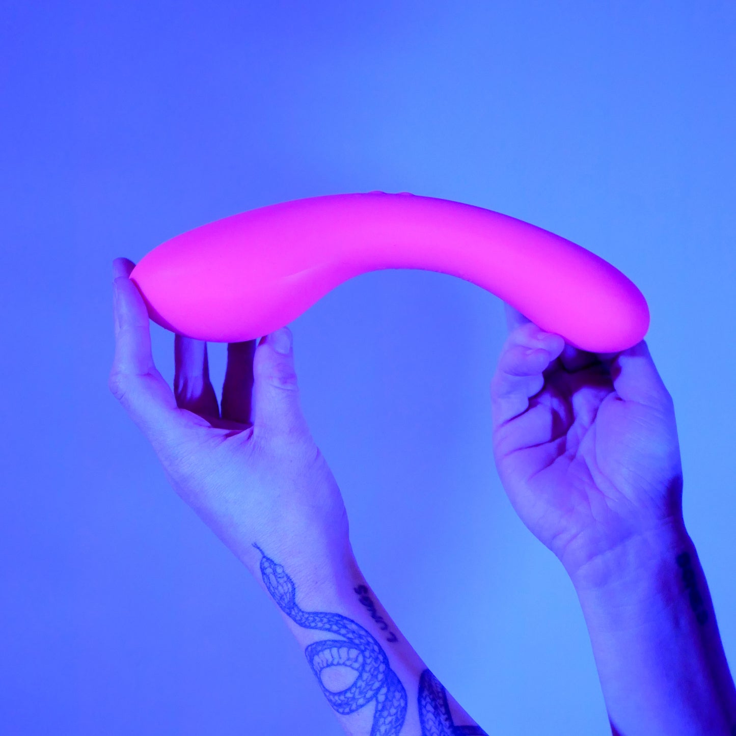 The Swan Wand