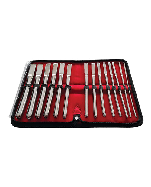 Rouge Stainless Steel Hegar Uterine 14 Piece Dilator Set