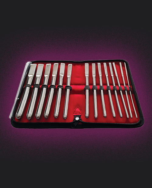 Rouge Stainless Steel Hegar Uterine 14 Piece Dilator Set