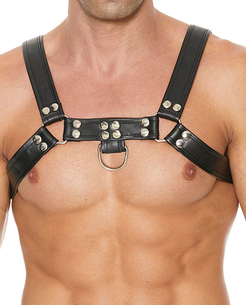 Uomo Chest Bulldog Harness