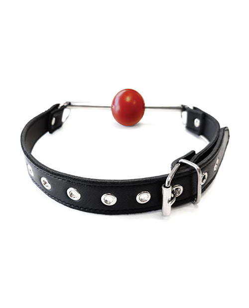 Rouge Leather Ball Gag w/ Stainless Steel Rod