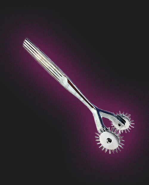Rouge Stainless Steel 2 Prong Pinwheel