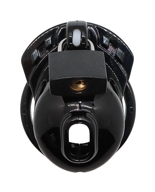 Locked In Lust The Vice Micro