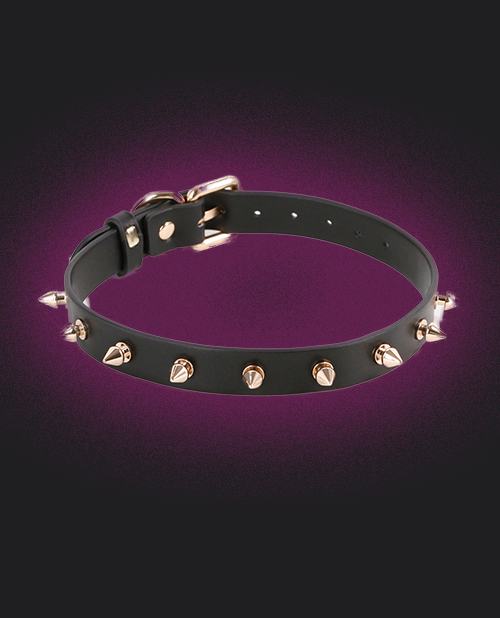 Black leather choker with gold studs on a dark purple background