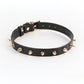 Fetish & Fashion Medusa Collar white 