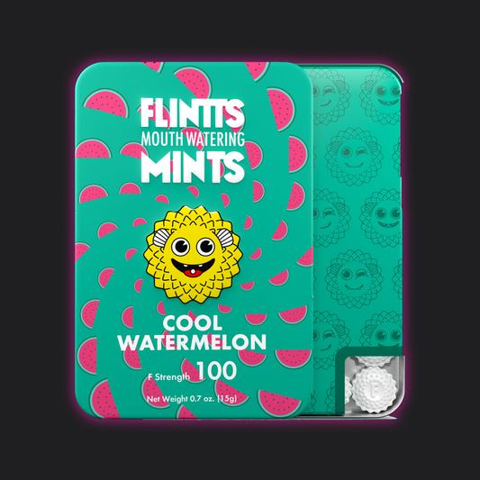 Flintts Mints Cool Watermelon FS 100